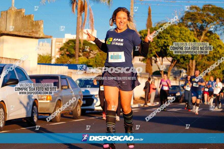 APAE Day Run Rolândia 2023