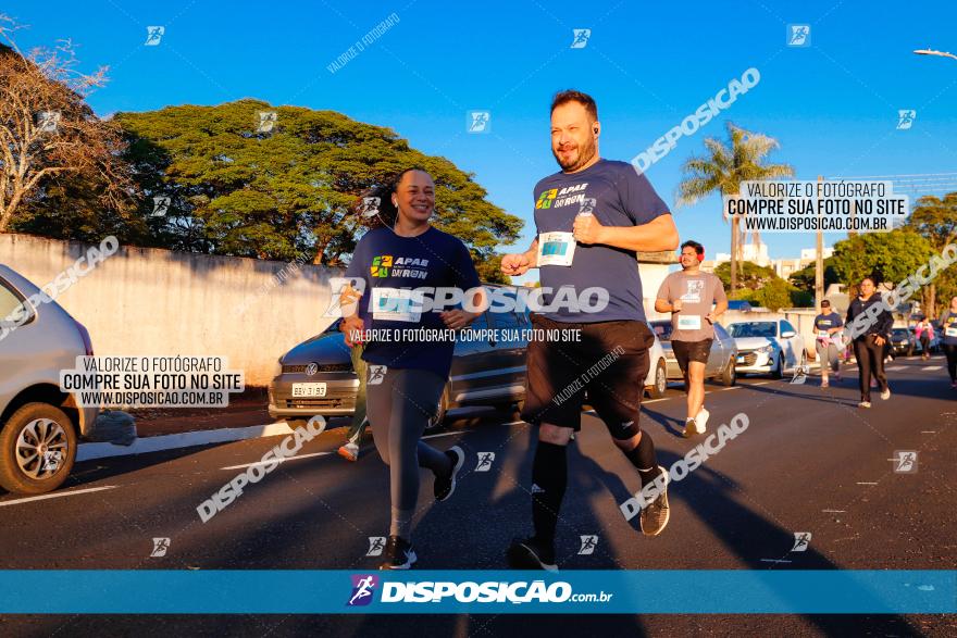 APAE Day Run Rolândia 2023