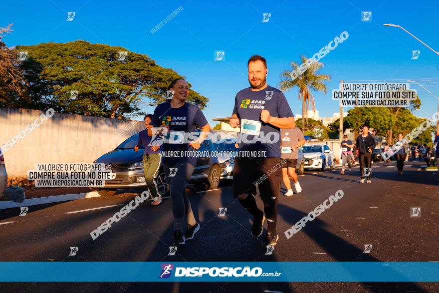 APAE Day Run Rolândia 2023