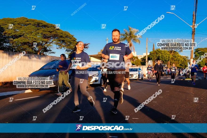 APAE Day Run Rolândia 2023