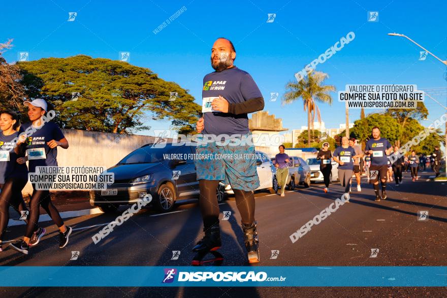 APAE Day Run Rolândia 2023