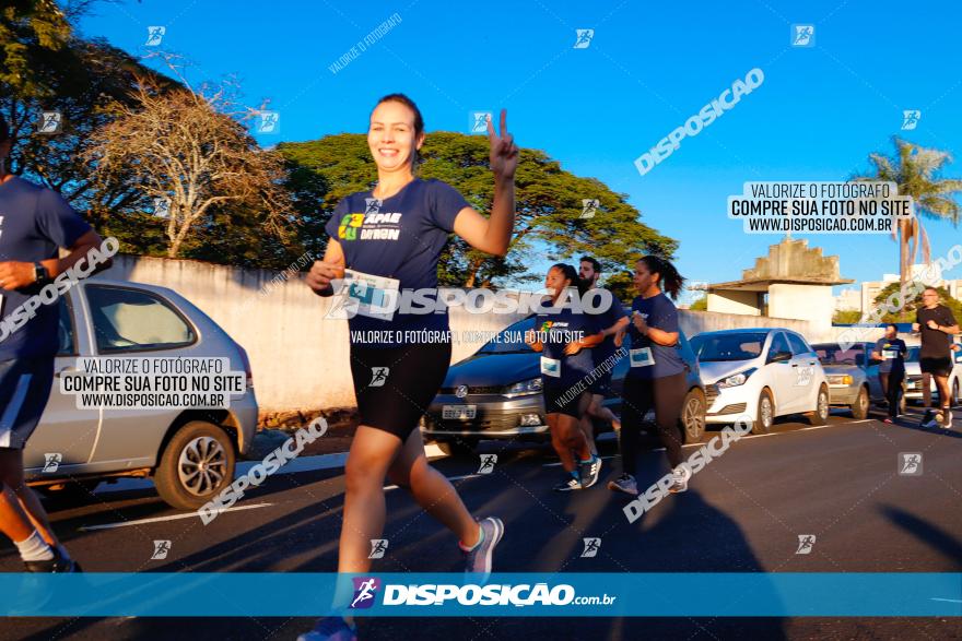 APAE Day Run Rolândia 2023