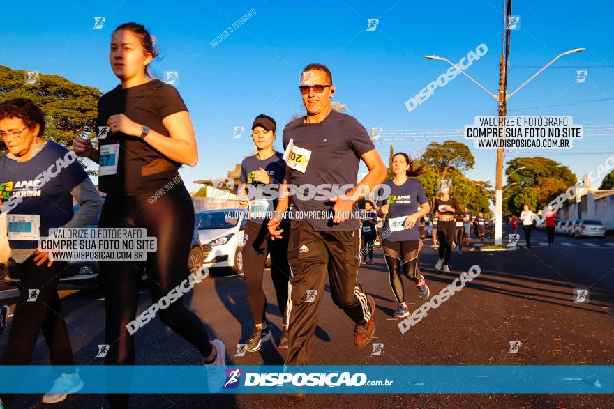 APAE Day Run Rolândia 2023