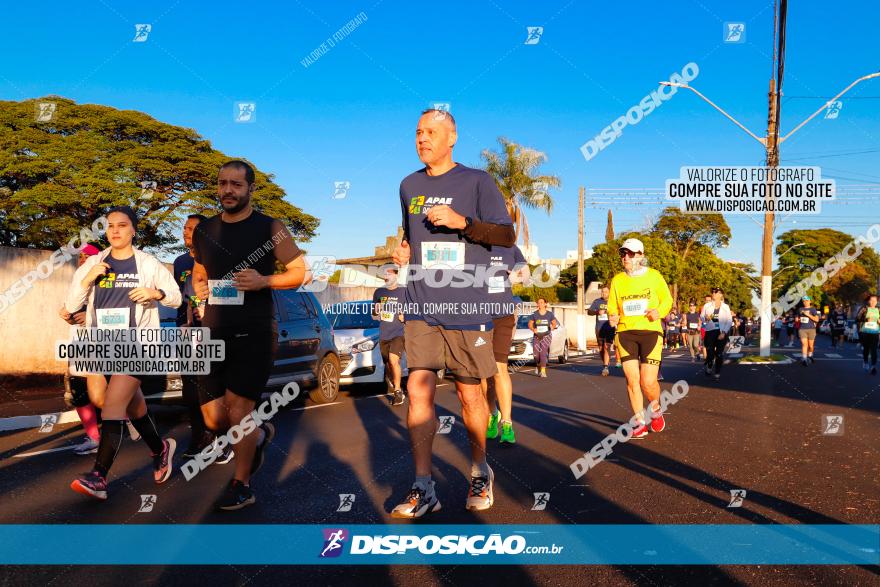 APAE Day Run Rolândia 2023