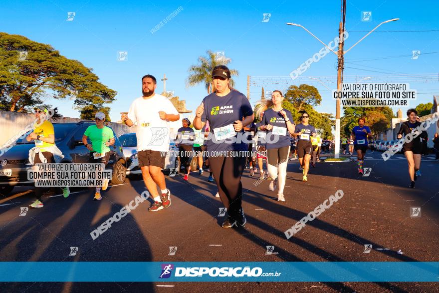 APAE Day Run Rolândia 2023