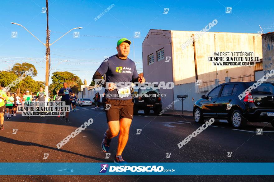 APAE Day Run Rolândia 2023