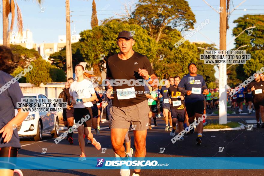 APAE Day Run Rolândia 2023