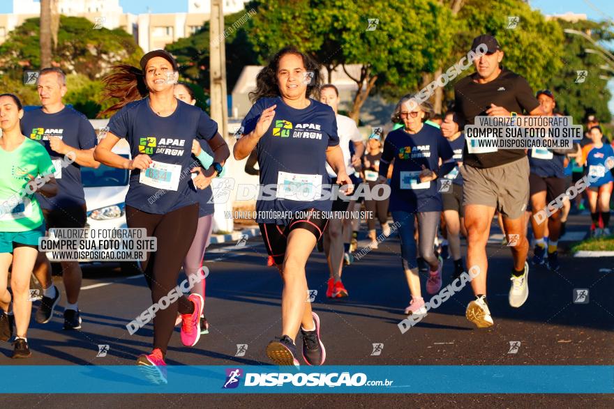 APAE Day Run Rolândia 2023