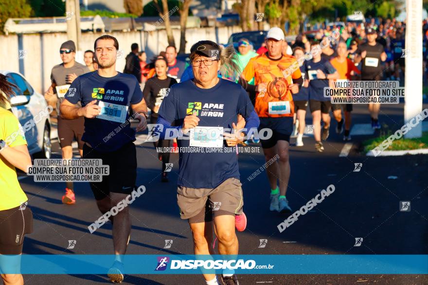 APAE Day Run Rolândia 2023