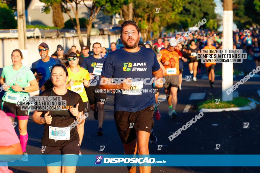 APAE Day Run Rolândia 2023