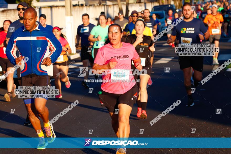 APAE Day Run Rolândia 2023