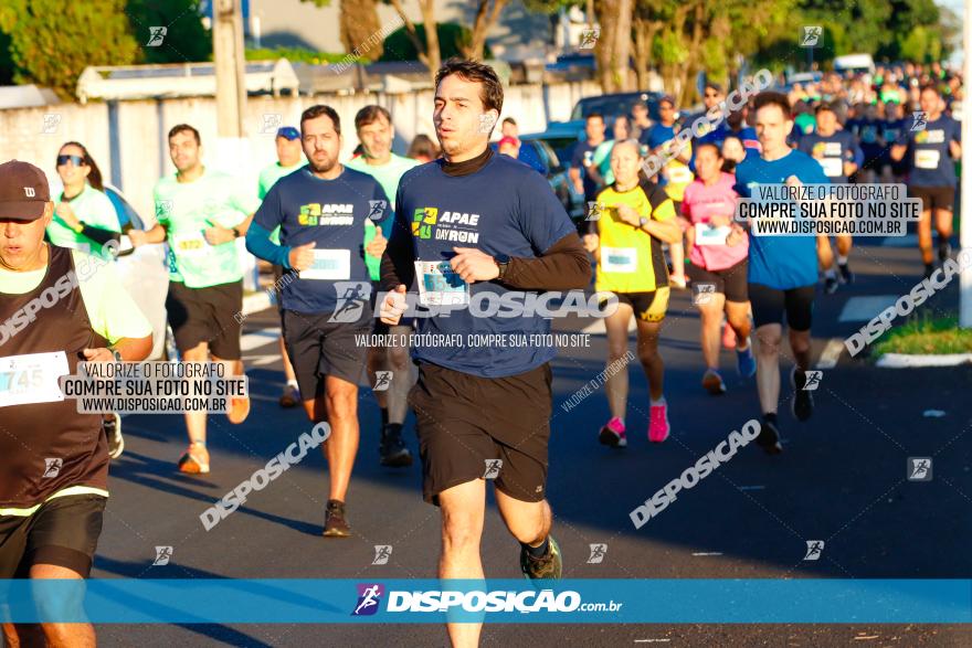 APAE Day Run Rolândia 2023