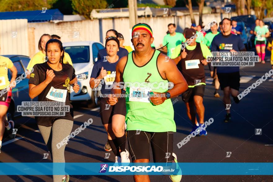 APAE Day Run Rolândia 2023