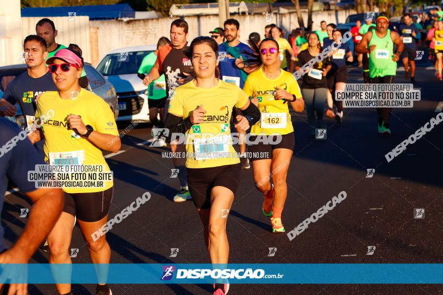 APAE Day Run Rolândia 2023