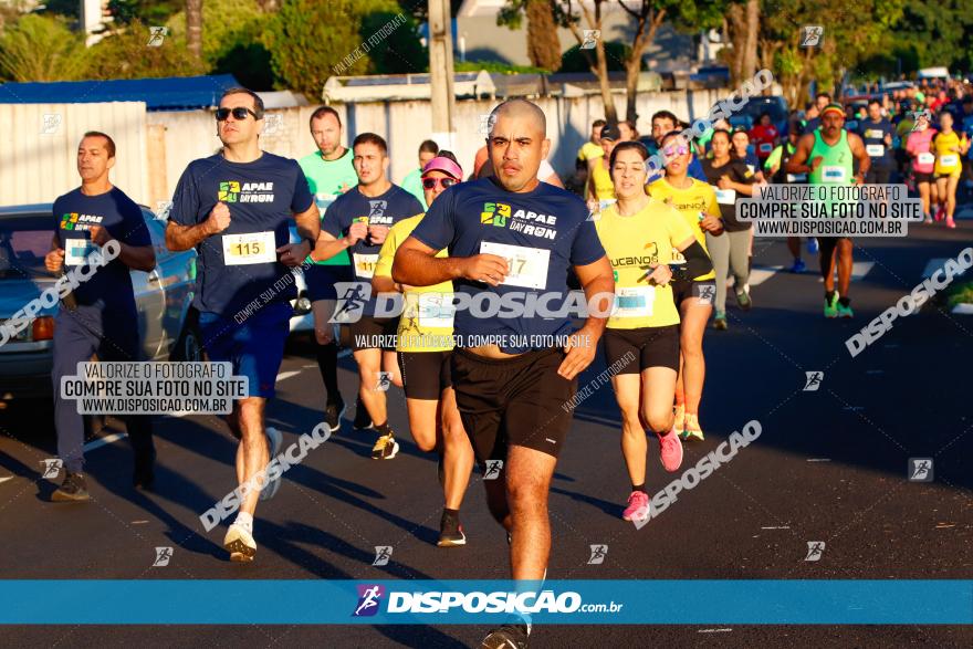 APAE Day Run Rolândia 2023