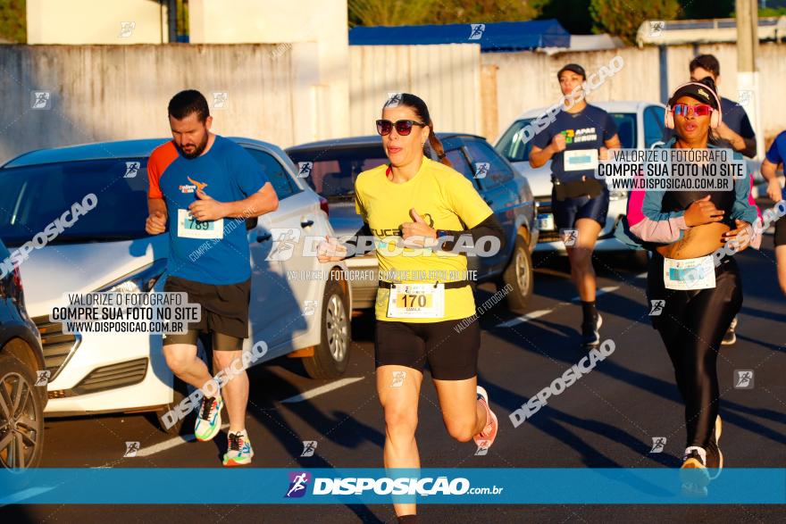 APAE Day Run Rolândia 2023