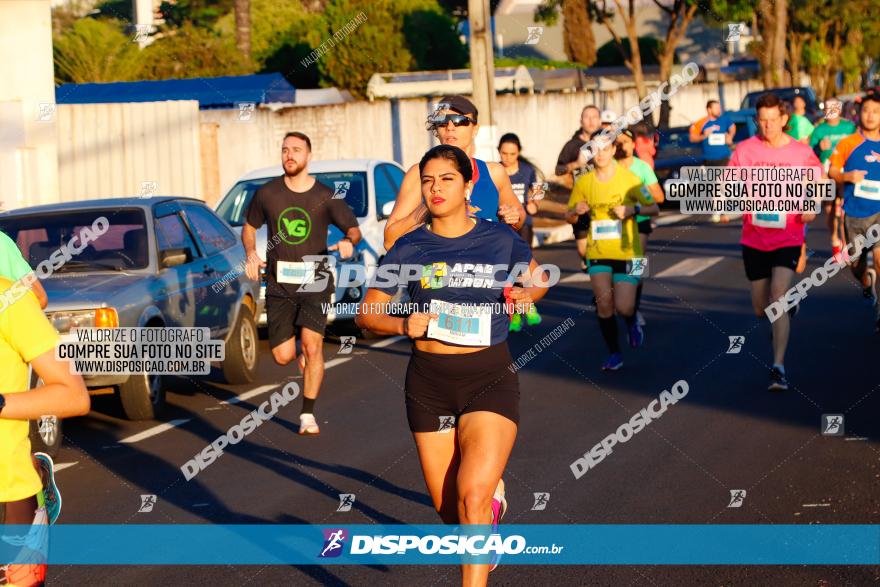 APAE Day Run Rolândia 2023