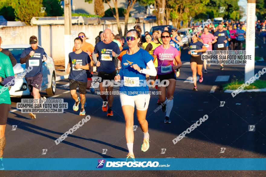 APAE Day Run Rolândia 2023