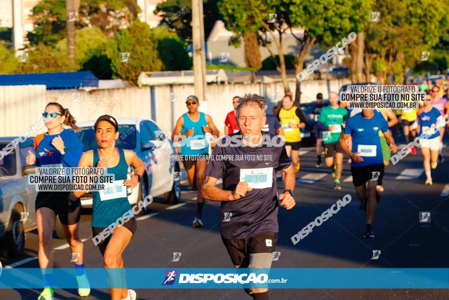 APAE Day Run Rolândia 2023