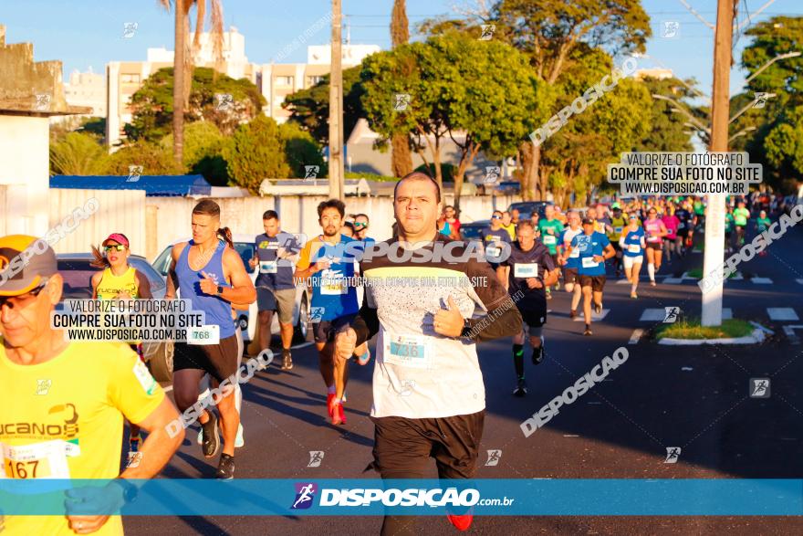 APAE Day Run Rolândia 2023