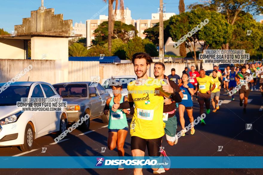 APAE Day Run Rolândia 2023