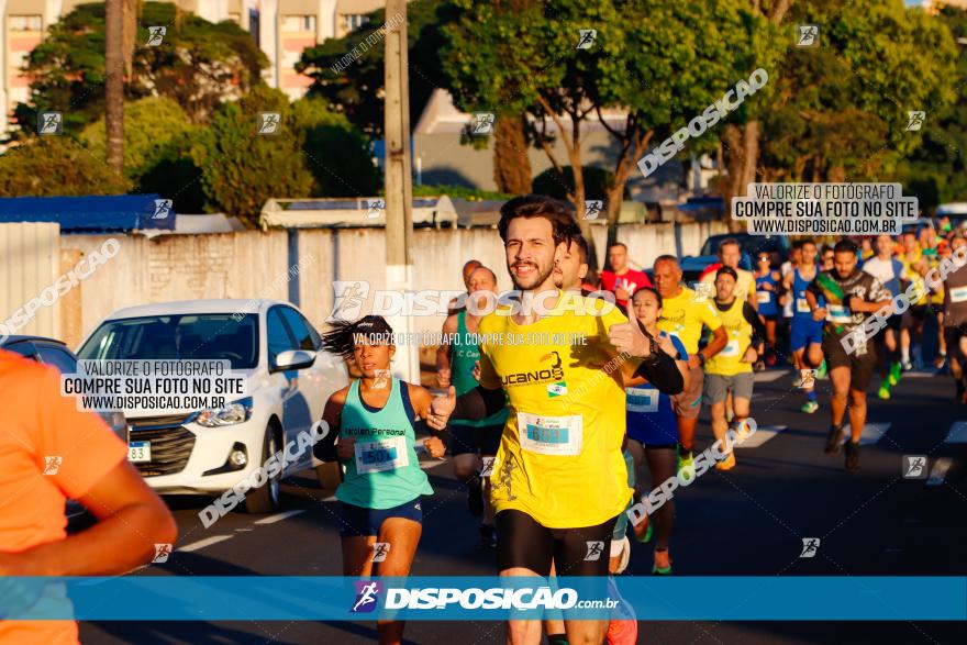 APAE Day Run Rolândia 2023