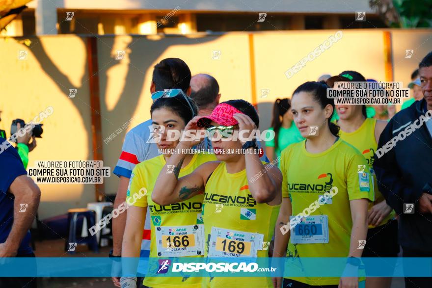 APAE Day Run Rolândia 2023