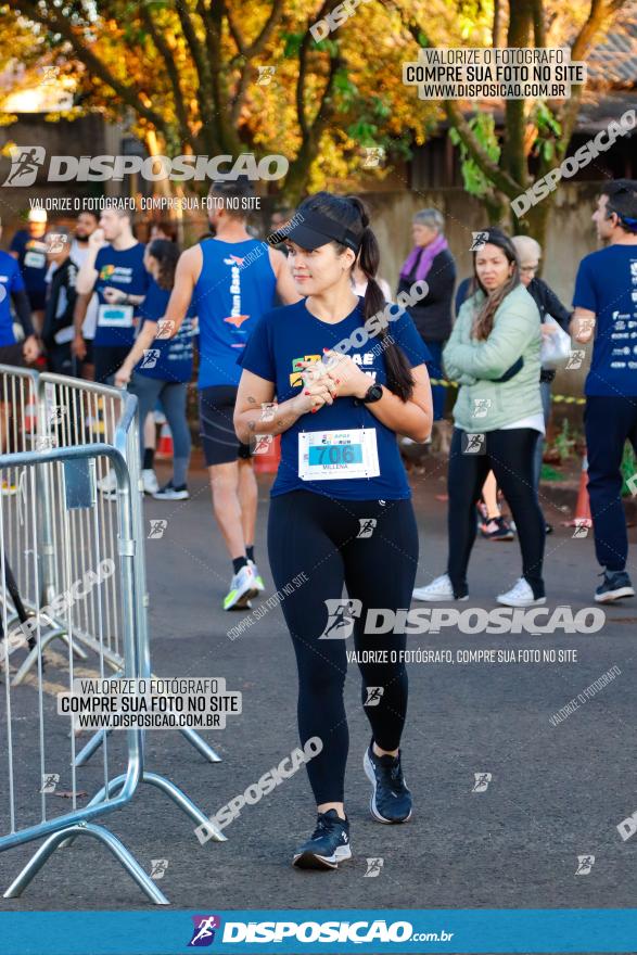 APAE Day Run Rolândia 2023