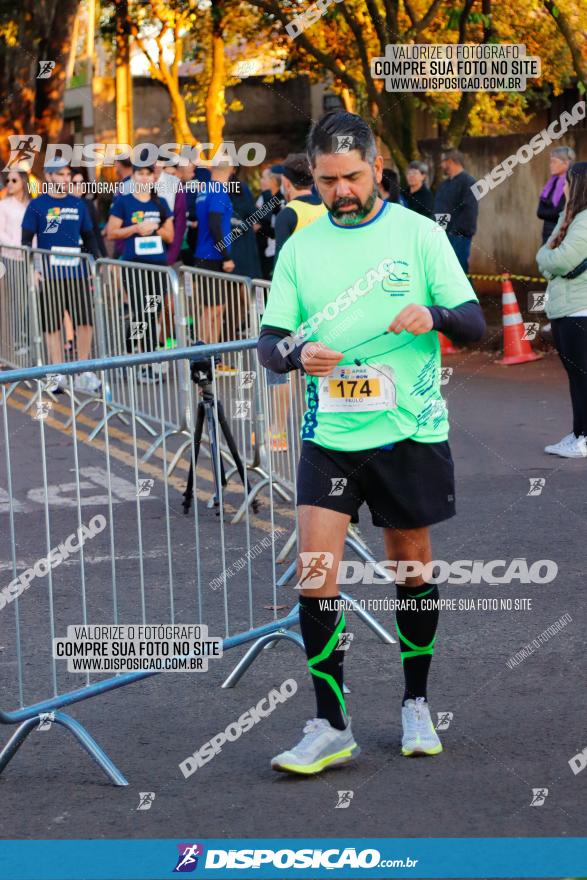 APAE Day Run Rolândia 2023