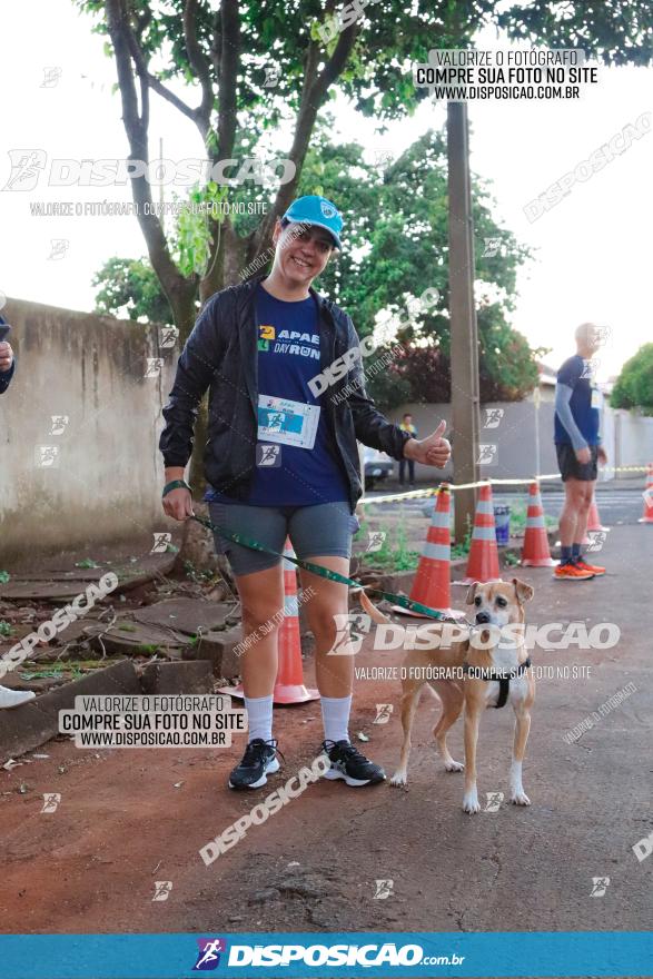 APAE Day Run Rolândia 2023