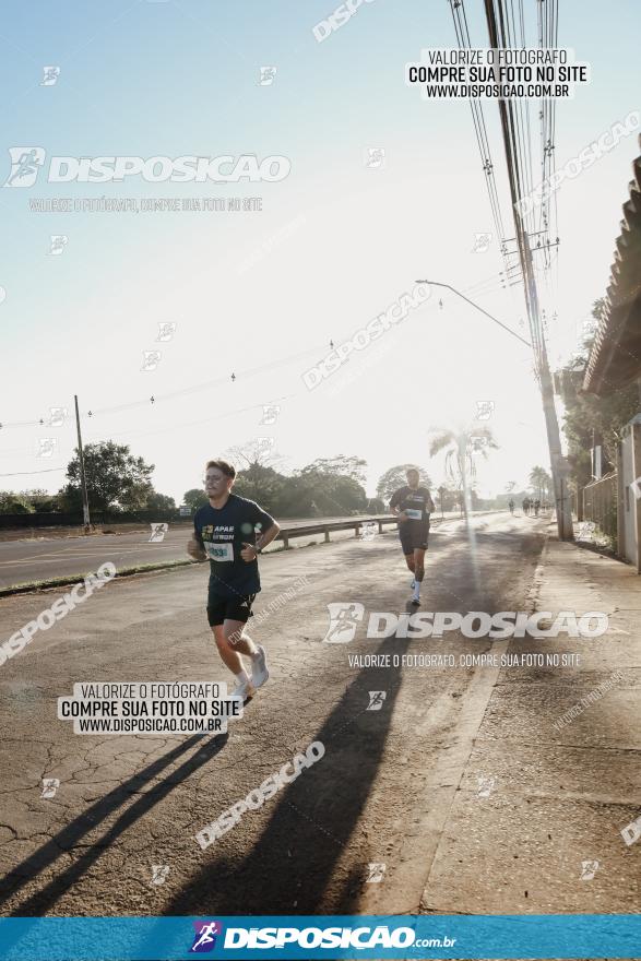 APAE Day Run Rolândia 2023