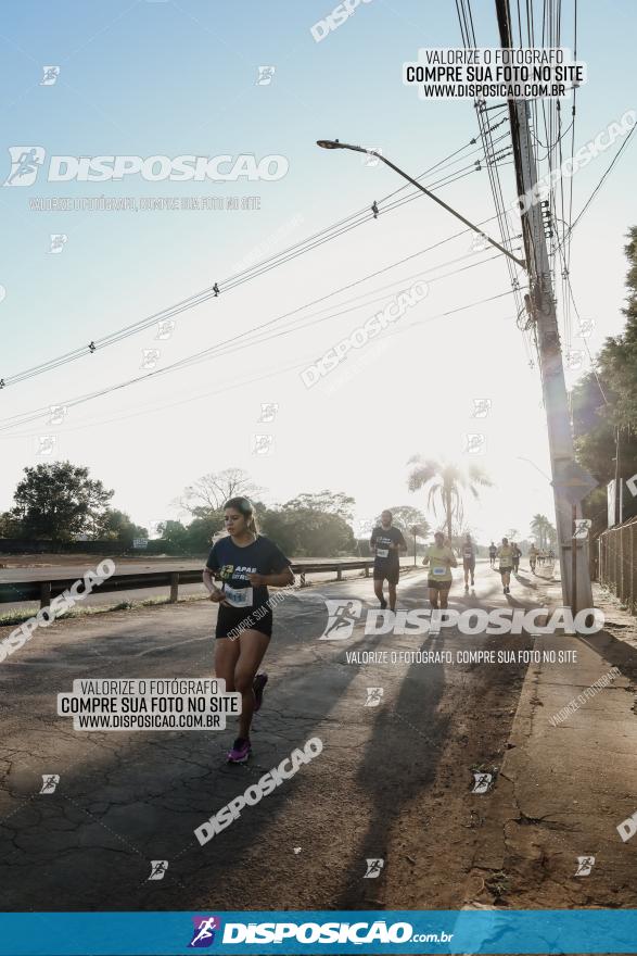 APAE Day Run Rolândia 2023