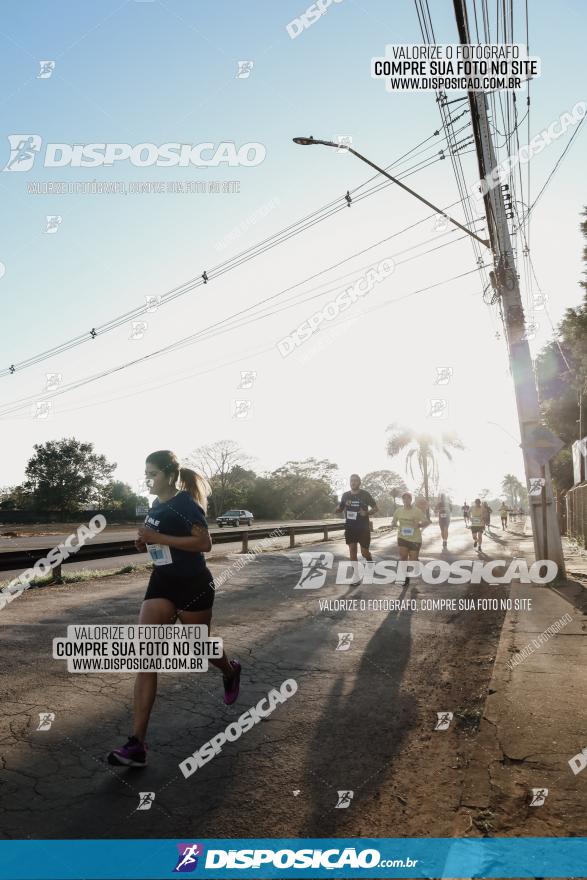 APAE Day Run Rolândia 2023