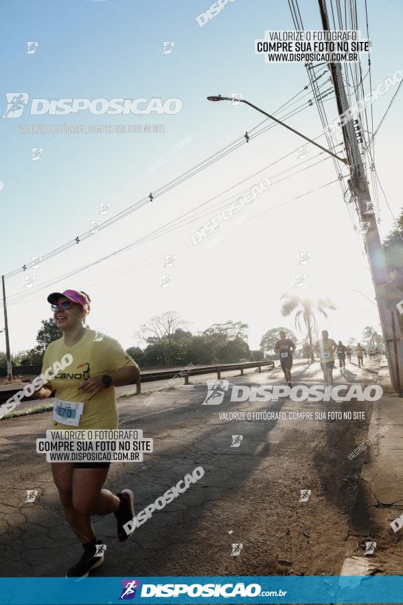 APAE Day Run Rolândia 2023