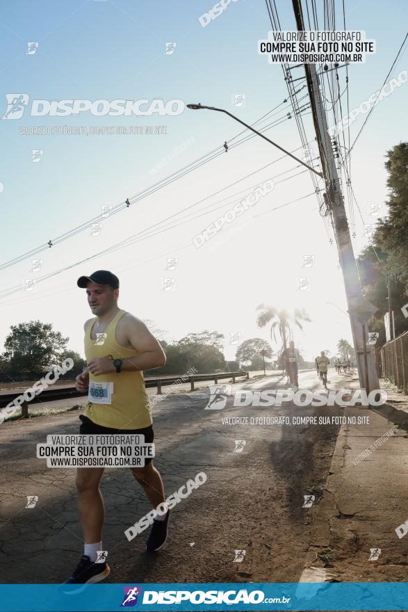 APAE Day Run Rolândia 2023