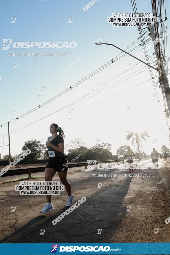 APAE Day Run Rolândia 2023