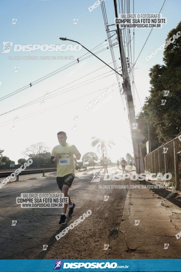 APAE Day Run Rolândia 2023