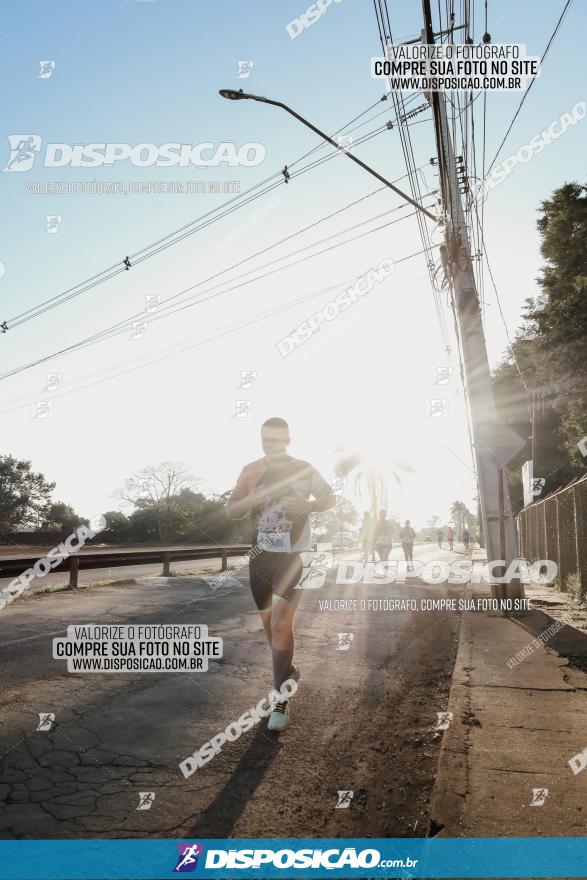 APAE Day Run Rolândia 2023