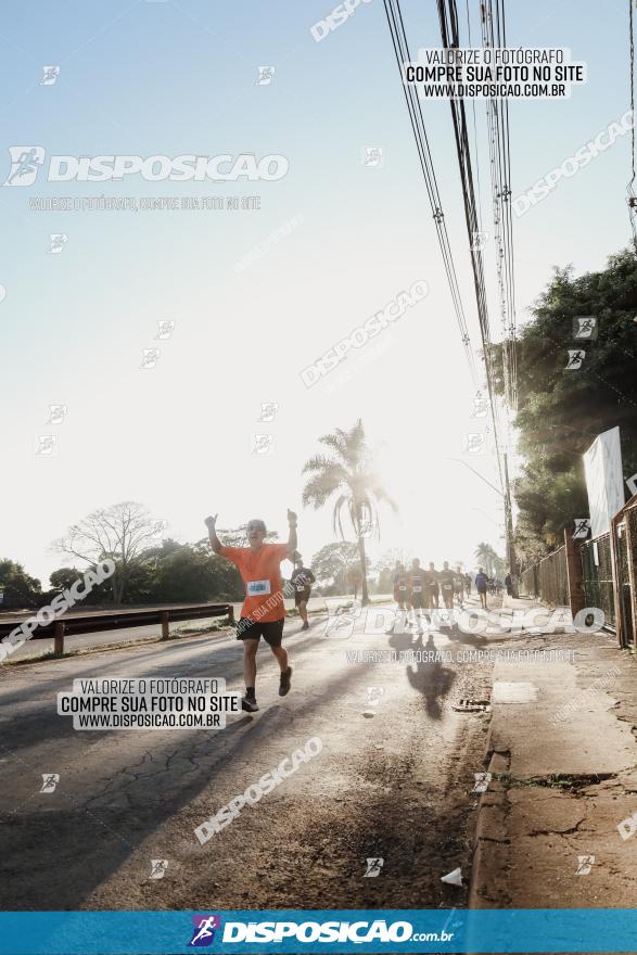 APAE Day Run Rolândia 2023