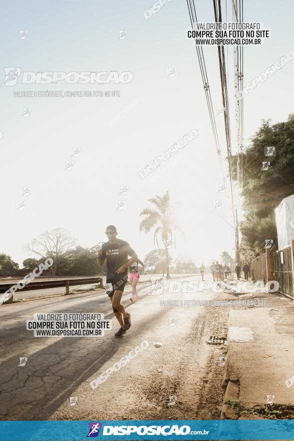 APAE Day Run Rolândia 2023