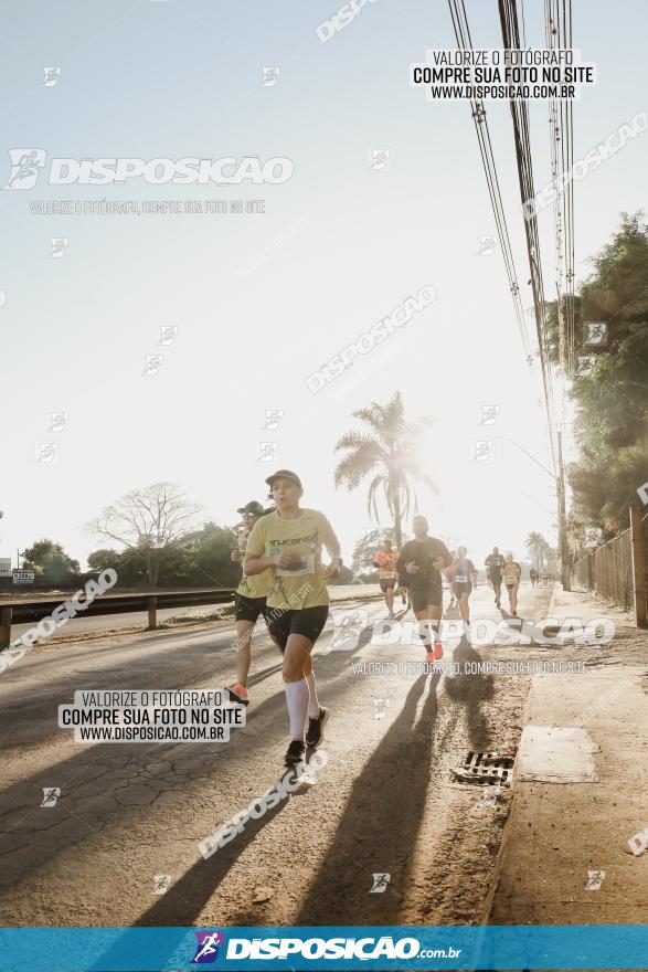 APAE Day Run Rolândia 2023