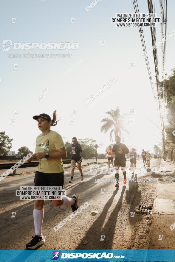 APAE Day Run Rolândia 2023