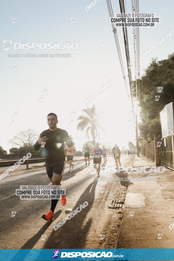 APAE Day Run Rolândia 2023