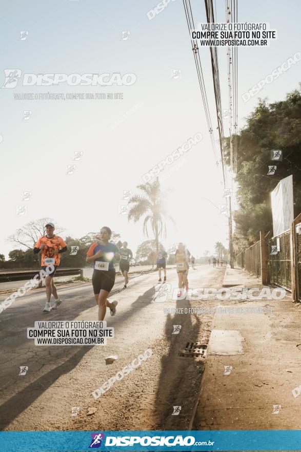 APAE Day Run Rolândia 2023