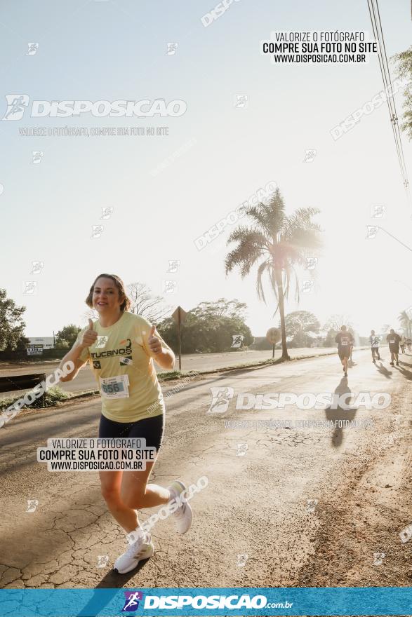 APAE Day Run Rolândia 2023