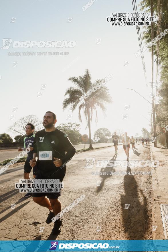 APAE Day Run Rolândia 2023