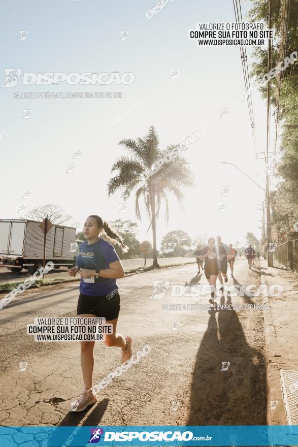 APAE Day Run Rolândia 2023