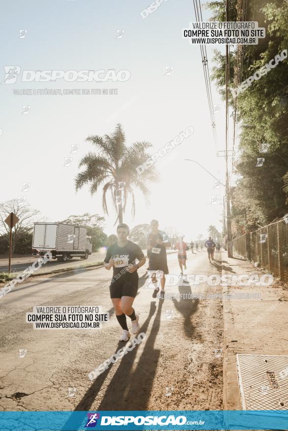 APAE Day Run Rolândia 2023