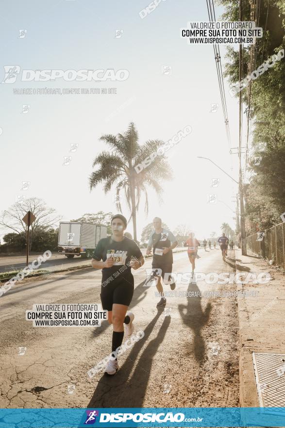 APAE Day Run Rolândia 2023