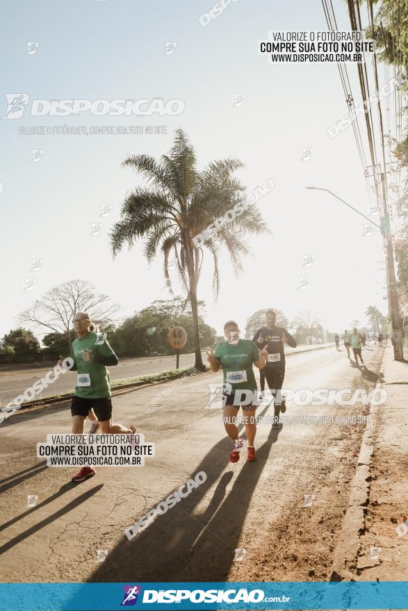 APAE Day Run Rolândia 2023